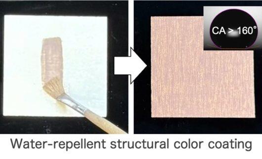 Prof. Kohri's team developed a structural color coating using hydrophobic melanin particles, combining vibrant, faderesistant colors with super water repellent, self cleaning properties.