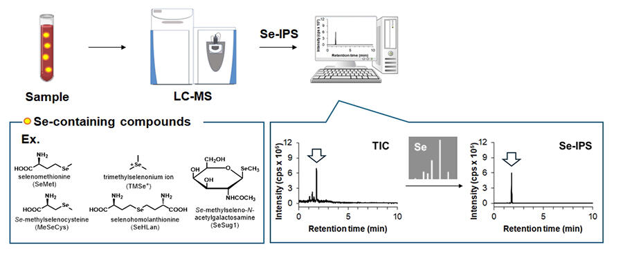 Isotope-Based Method for Detecting Unknown Selenium Compounds, Yoshikazu YAMAGISHI, Assistant Professor, Graduate School of Medicine