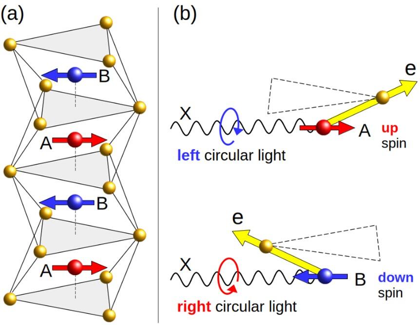 Detecting the Hidden Magnetism of Altermagnets, Peter KRÜGER, Professor, Graduate School of Engineering