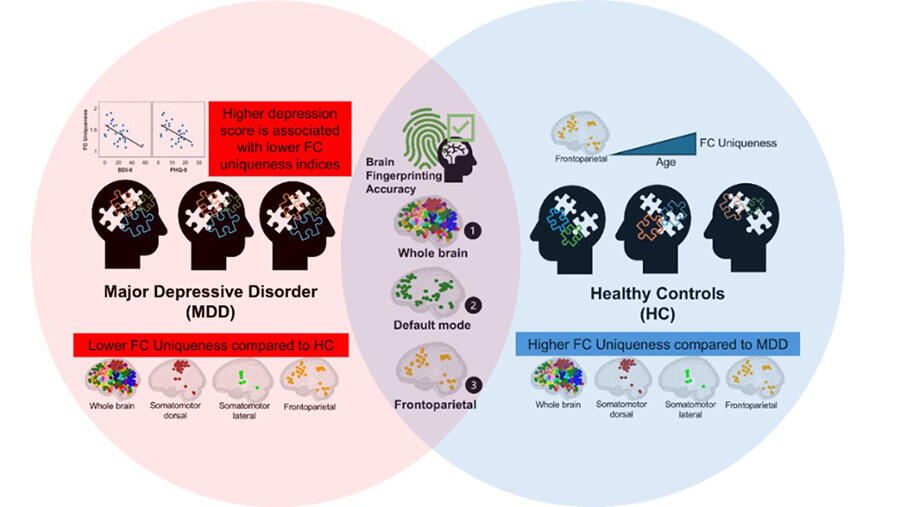Clinical Relevance of Brain Functional Connectome Uniqueness in Major Depressive Disorder, Yoshiyuki HIRANO, Professor / Vice Director, Research Center for Child Mental Development