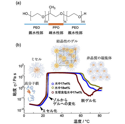 治療薬輸送高分子ミセルの生理食塩水中での相互作用を解明 〜生体内での治療薬輸送挙動の詳細予測が可能に